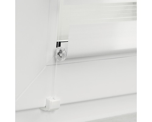 Doppelrollo am Fenster mit Bedienelementen