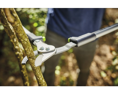 Stockschere schneidet Ast