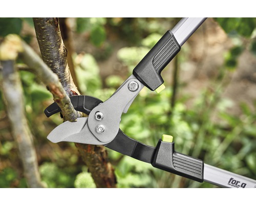 Astschere beim Schneiden eines Astes