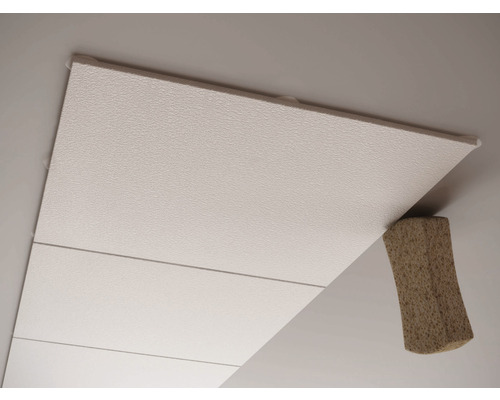 Deckenelement mit Unterkonstruktion zur Befestigung an der Decke