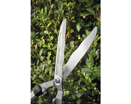 Heckenschere im Einsatz vor einer Hecke