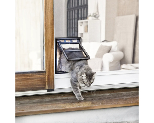 Katze benutzt Katzenklappe in einer Fensterscheibe