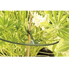 Staudenhalter FloraSelf Kunststoff Vario Ø 40 cm 3 Stk
