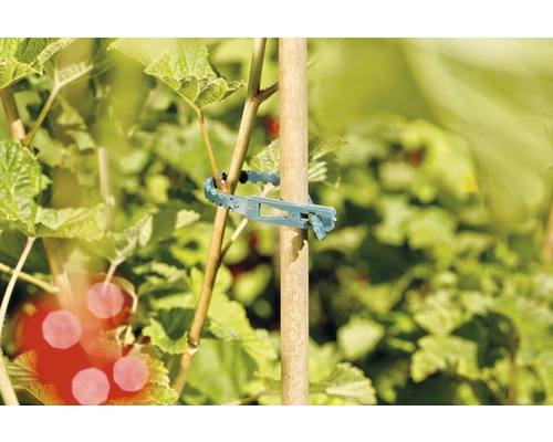 Pflanzenbinder zur Befestigung einer Pflanze an einem Holzstab