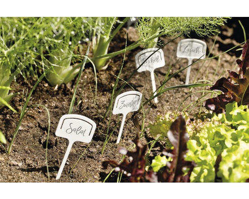 Gemüsegarten mit Schildern für Salat, Zwiebel, Fenchel und Lauch