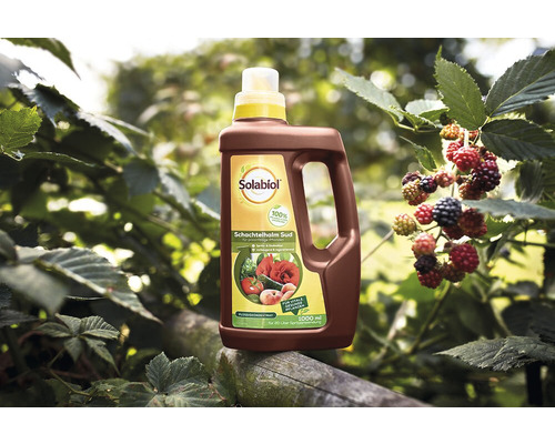 Solabiol Schachtelhalm Sud Pflanzenstärkungsmittel in einer braunen Flasche