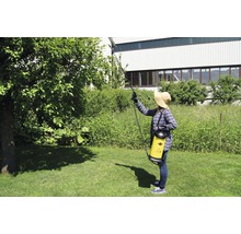 Frau sprüht Baum mit Rückenspritze im Garten