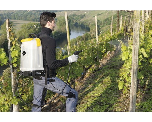 Eine Person verwendet eine Rückenspritze zur Schädlingsbekämpfung im Weinberg.