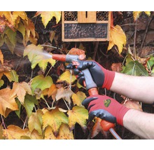 Person gießt Pflanze mit Gartenschlauch und trägt dabei Gartenhandschuhe.