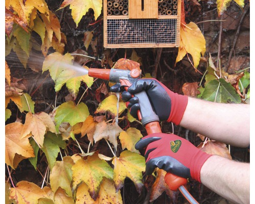 Person gießt Pflanze mit Gartenschlauch und trägt dabei Gartenhandschuhe.