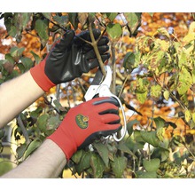 Gartenarbeit mit einer Gartenschere und Gartenhandschuhen