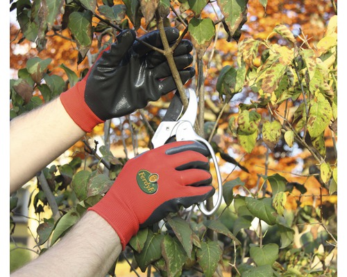 Gartenarbeit mit einer Gartenschere und Gartenhandschuhen