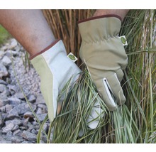 Zwei Gartenhandschuhe zwischen Pflanzen
