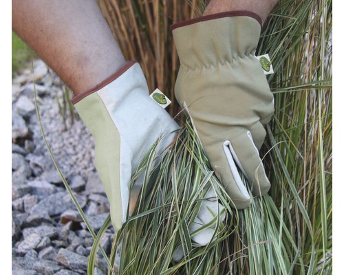 Zwei Gartenhandschuhe zwischen Pflanzen