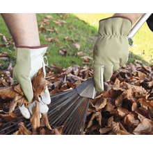 Person mit Gartenhandschuhen, die Laub aufsammelt