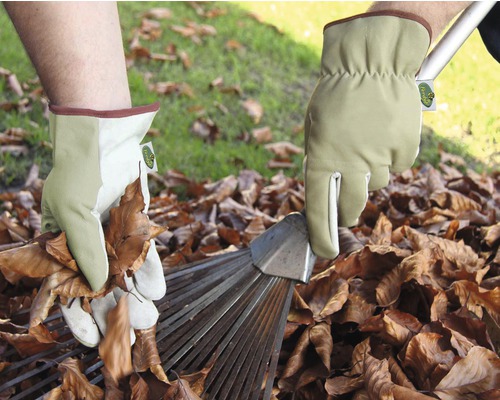 Person mit Gartenhandschuhen, die Laub aufsammelt