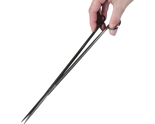 Eine Hand hält eine Pinzette