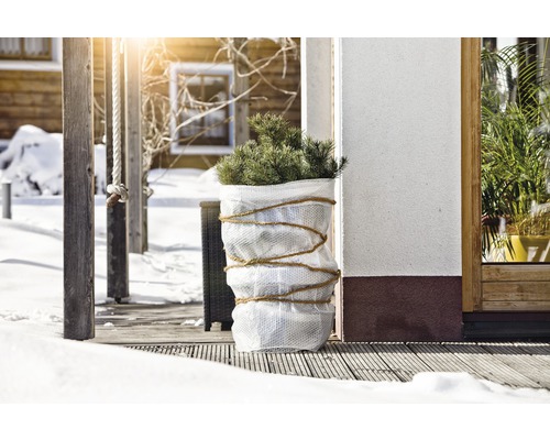 Winterliches Arrangement mit Pflanze im Topf auf einer Terrasse