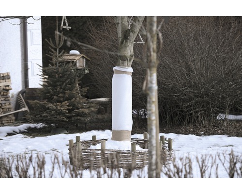 Ein Baum ist mit Winterschutz umwickelt und von einem kleinen Zaun umgeben.