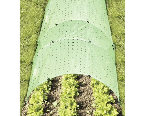 Gemüsebeet mit perforiertem Folientunnel zum Schutz der Pflanzen