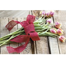 Tulpenstrauß mit Schleife auf Holzkiste