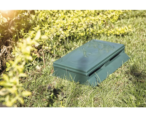 Grüne Köderbox für Nagetiere auf Rasen
