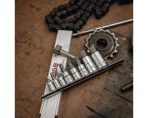 Torx-Bit-Satz mit Kette, Bolzen, Zahnrad und Zollstock