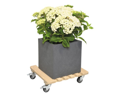 Quadratischer Pflanzkübel mit Hortensie auf einem Pflanzenroller aus Holz