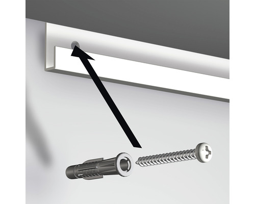 Darstellung der Befestigung einer Schiene mit Dübel und Schraube.