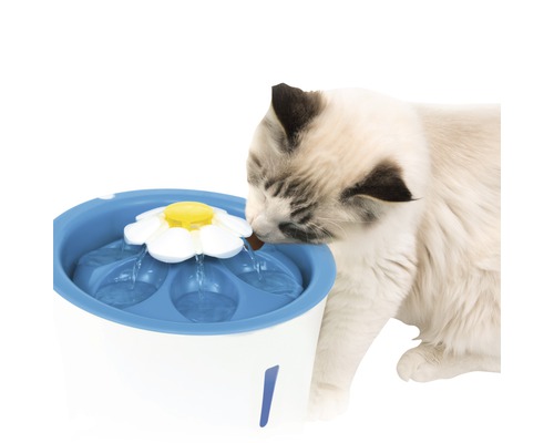 Katze trinkt aus einem blauen und weißen Trinkbrunnen