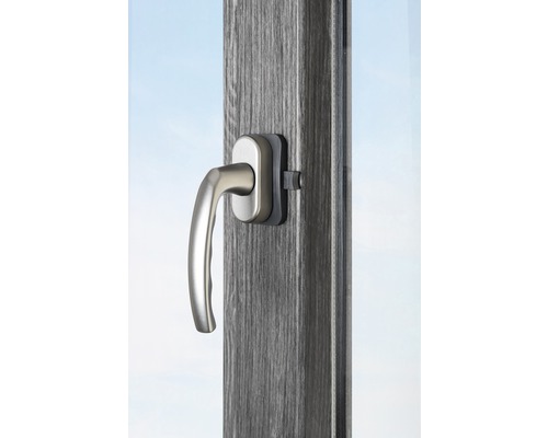 Fenster mit Fenstergriff