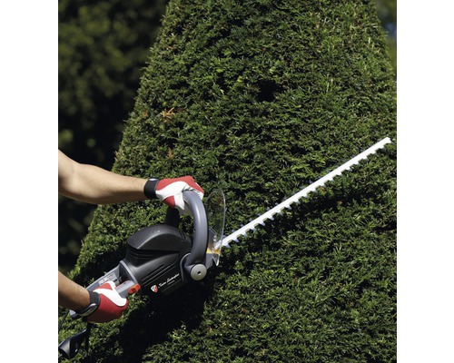 Eine Person schneidet eine Hecke mit einer Heckenschere.