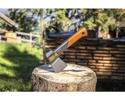 Axt auf einem Baumstumpf mit For.q Logo