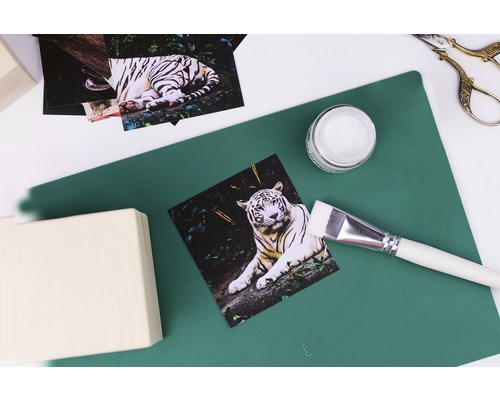 Szene mit Holzklötzen, einem Foto von einem Tiger, Klebstoff und einem Pinsel auf einer grünen Schneidematte für Bastelarbeiten