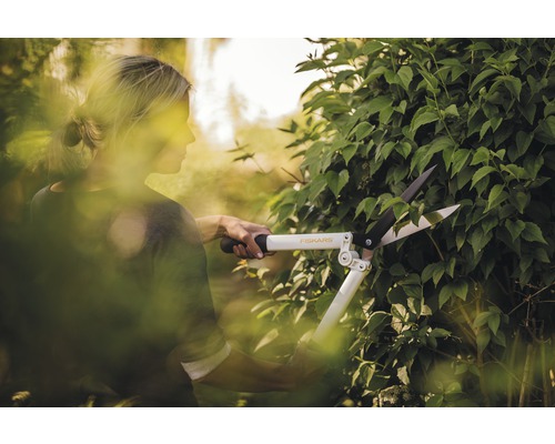 Eine Frau schneidet eine Hecke mit einer Fiskars Heckenschere.