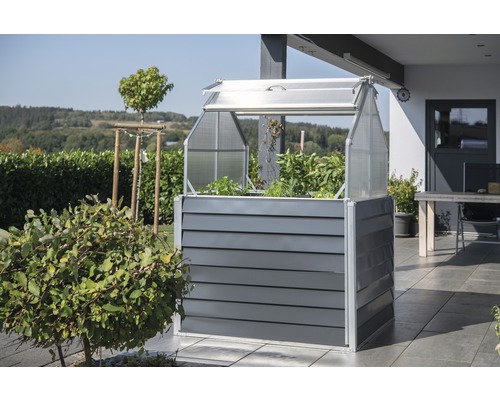 Hochbeet mit Frühbeetaufsatz auf einer Terrasse mit Bepflanzung