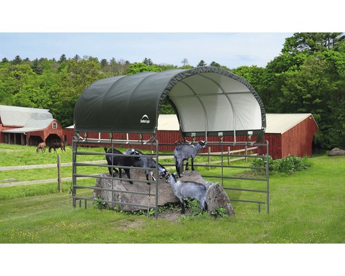 Weideunterstand mit Ziegen auf einem Feld