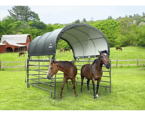 Pferdeunterstand mit zwei Pferden auf einer grünen Wiese