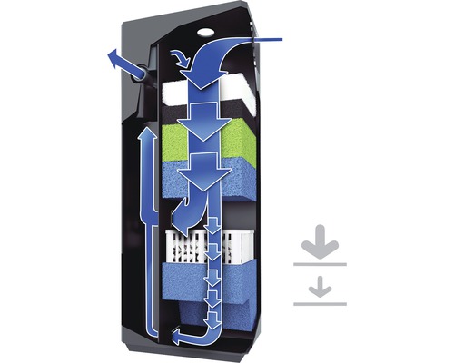 Illustration eines Aquarienfilters mit Pfeilen, die den Wasserfluss darstellen