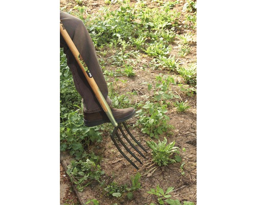 Eine Person benutzt eine Grabegabel im Garten, um Unkraut zu entfernen.