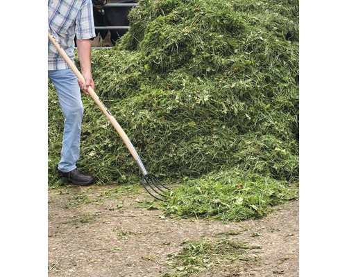 Person mit Dunggabel und großem Grashaufen