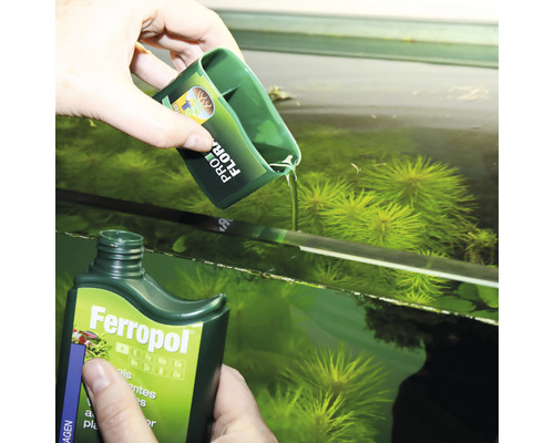 Aquarienpflege: Zugabe von Flüssigdünger mit Messbecher zu einem Aquarium mit Wasserpflanzen.