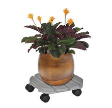 Pflanzenroller Wagner Creo Buche Ø 29 cm TK 100 kg