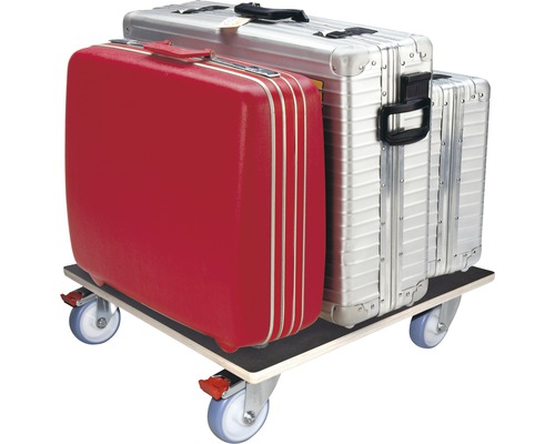 Transportroller mit Gepäck