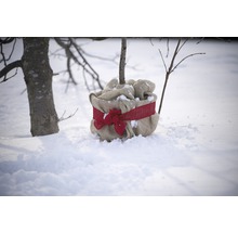 Eingepflanzter Baum mit Jutesack und Schleife im Schnee