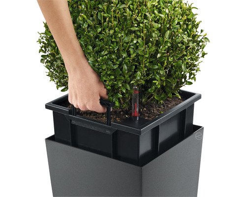 Detailaufnahme eines quadratischen Pflanzkübels mit Bewässerungssystem und einer Hand, die den Wasserstand prüft.