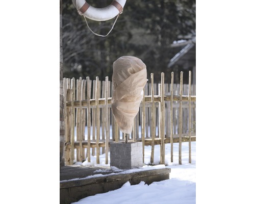 Garten im Winter mit Pflanzenschutzhaube und Dekoration