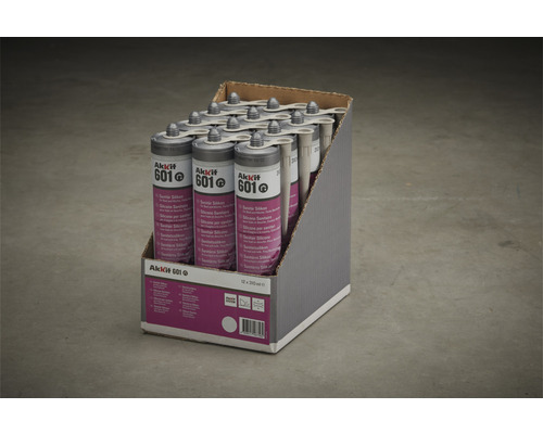Packung Sanitärsilikon Akkit 601