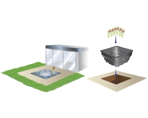 Illustration eines Gartenteichs mit Fontäne und Pflanzzone