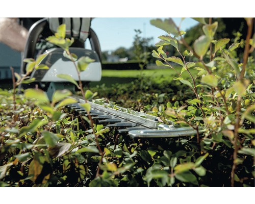 Eine Heckenschere schneidet eine Hecke.